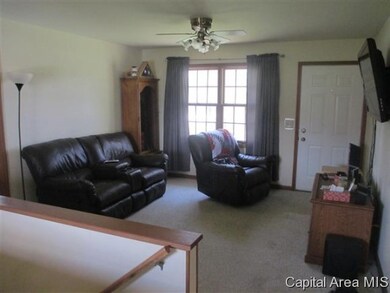 1716 Mount Zion Rd, Jacksonville, IL 62650 - photo 4