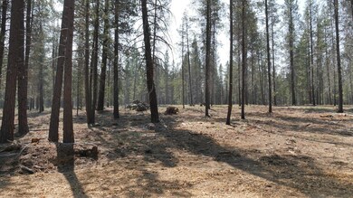 Front of homesite