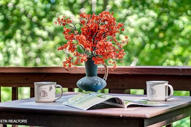 1031 Elm Cir, Sevierville, TN 37876 - photo 3