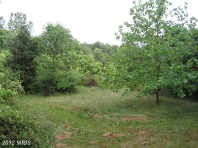 0 Shepherd Grade Rd unit 1004014652, Shepherdstown, WV 25443 - photo 2