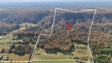 0 Rhodes Rd unit 709634, New Market, TN 37820 - photo 3