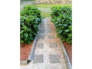 Yard/Garden.