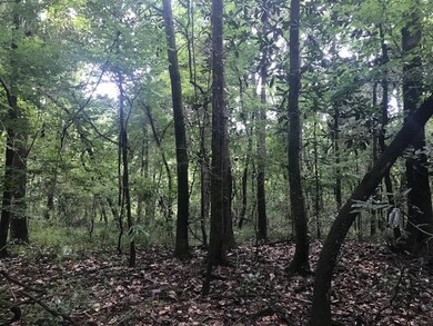 0 Harley Davidson Ln unit 315293, Crawfordville, FL 32327 - photo 6