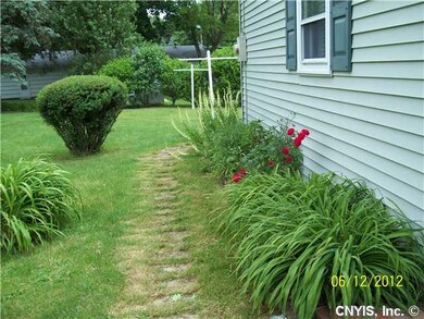 Yard/Garden