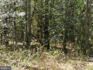 0 Birch Ln unit 1000408397, Colonial Beach, VA 22443 - photo 3