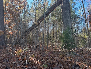 0 S Amherst Hwy unit 355808, Monroe, VA 24574 - photo 2