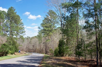 1290 Northwoods Dr, Greensboro, GA 30642 - photo 7