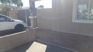 photo7