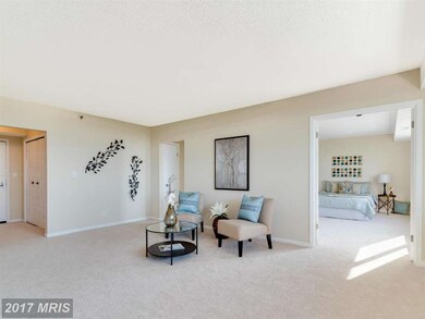 5501 Seminary Rd unit 2508S, Baileys Crossroads, VA 22041 - photo 7