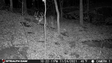 Lot 8 Junaluska Dr, Jamestown, TN 38556 - photo 6