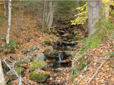 86 Holbrook Rd, Jacksonville, VT 05342 - photo 7