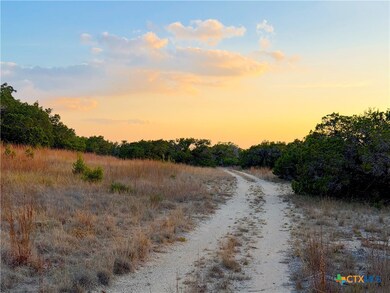 100 Acres N Cranes Mill Rd, Canyon Lake, TX 78133 - photo 4