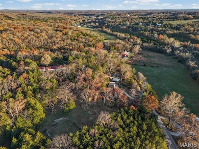 Aerial view of a forest