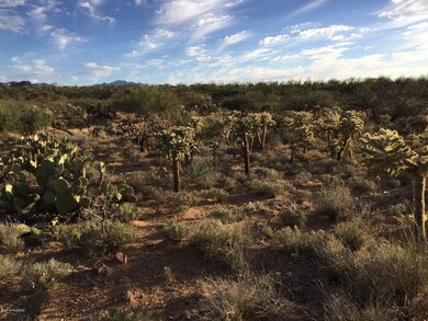 Natural Desert Landscaping