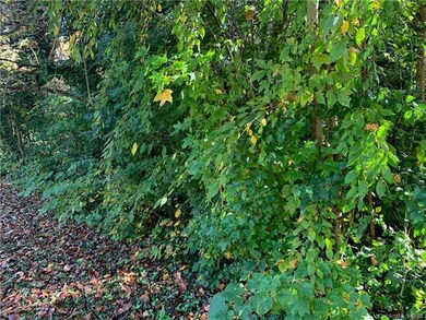 Lot 5 Brookwood Ct unit 5, Statesville, NC 28677 - photo 5