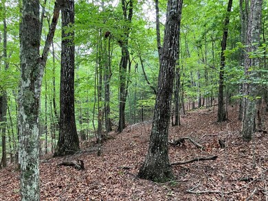 Lt 41 Floris Mountain Rd, Murphy, NC 28906 - photo 5