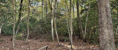 36(1)33 Jessie Dupont Memorial Hwy, Heathsville, VA 22473 - photo 4