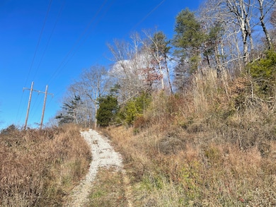 14645 Morehead Rd, Wallingford, KY 41093 - photo 3