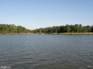 4802 Skinners Neck Rd, Rock Hall, MD 21661 - photo 5