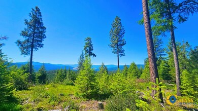 Fwp Region 1 unit Hunting District 122, Plains, MT 59859 - photo 3