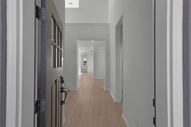 237 Wingstem Way, Georgetown, TX 78633 - photo 5