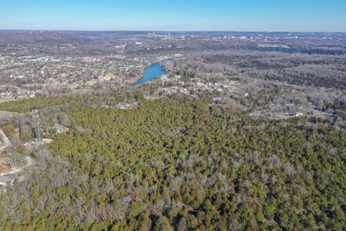 34 ac Iowa Colony Rd Hollister MO (3)
