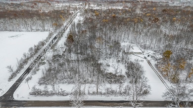 17285 Williamsville St, Cassopolis, MI 49031 - photo 4