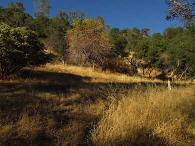 Easy walk up to lower 'show pad'.