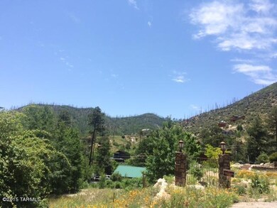 IMG_4254