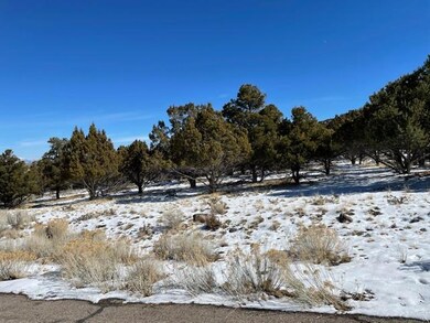 529 S 1050 W, Summit, UT 84772 - photo 2