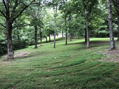 Front Yard 2
