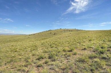 378 Cedar Ln unit 75, Hartsel, CO 80449 - photo 3