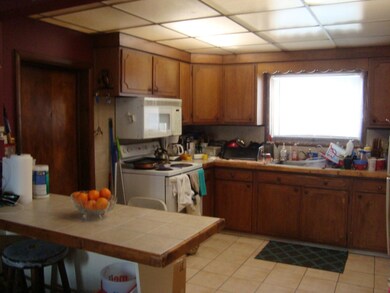 418 Elm St SE, Lowell, MI 49331 - photo 5