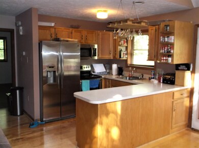 7103 Robinwood Dr, Tobyhanna, PA 18466 - photo 2