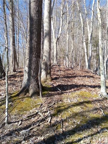 9999 Little Creek Rd, Burnsville, NC 28714 - photo 4