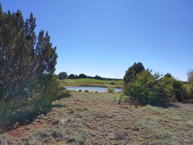 POND