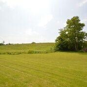 1390 Jackson Pike unit F, Harrodsburg, KY 40330 - photo 6