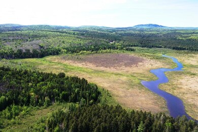 DJI_0462