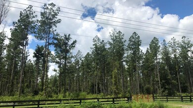 LOT 4 Griffin Rd - Heartwood Farms, Callahan, FL 32011 - photo 4