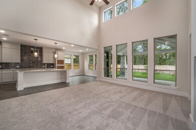 14984 Berry Brook Dr, Conroe, TX 77302 - photo 4