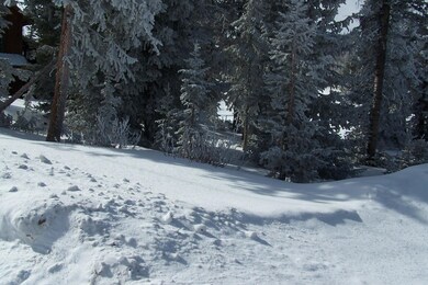 734 S Snowflake Ln unit Brian Head Unit 3 bl, Brian Head, UT 84719 - photo 5