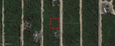 0 Usina unit 1191068, Interlachen, FL 32148 - photo 3