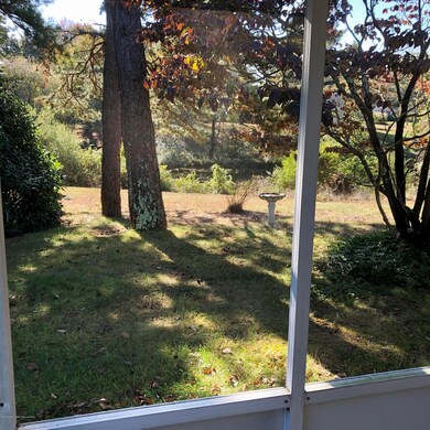 View from the screen room