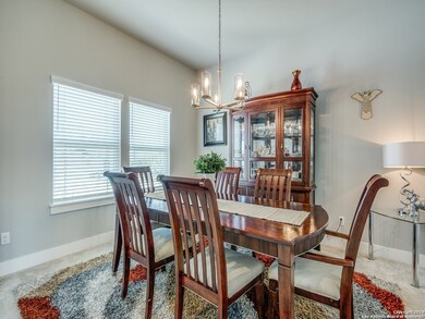 207 Ancient Oak Way, San Marcos, TX 78666 - photo 6