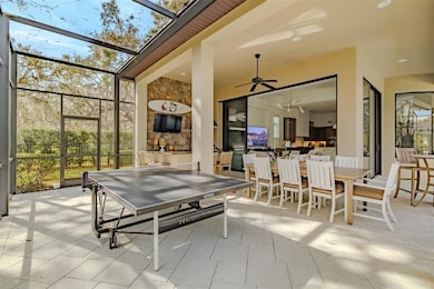 15312 Fishhawk Preserve Dr, Lithia, FL 33547 - photo 4