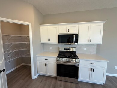 2803 Iverson Ave NE, Saint Michael, MN 55376 - photo 5