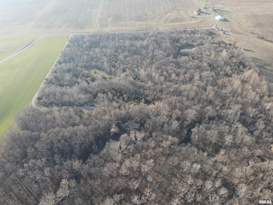 000 County Highway 7 County Rd, Cisne, IL 62823 - photo 4