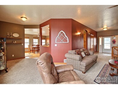 Bright, Open and Loaded with Natural Light