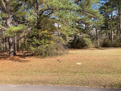 00 Audubon Place, Picayune, MS 39466 - photo 2