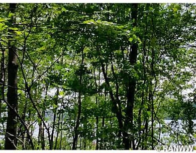 Lot 1 Hwy Ff, Webster, WI 54893 - photo 3